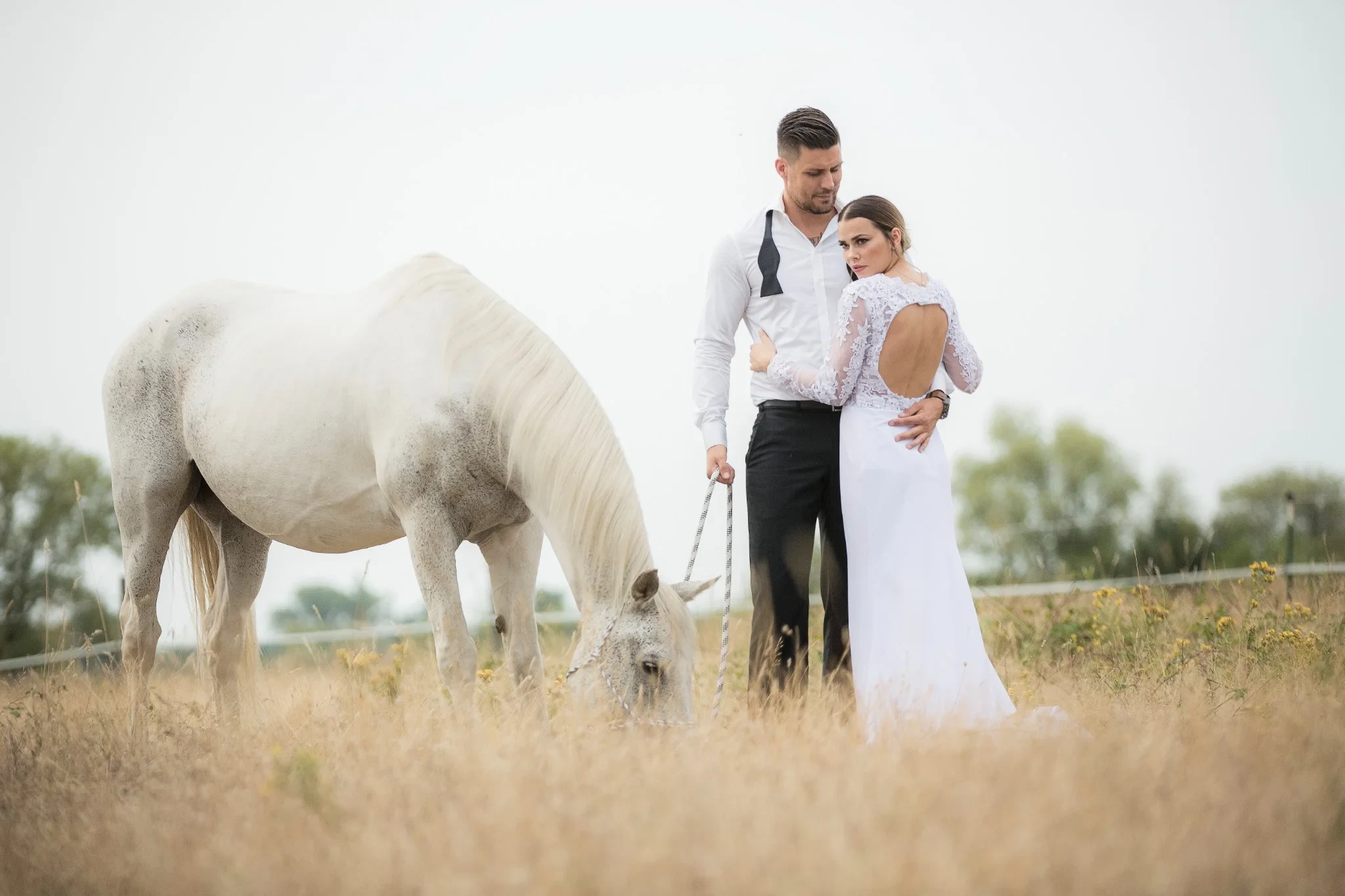 Brautpaar mit einem weißen Pferd auf einer Wiese